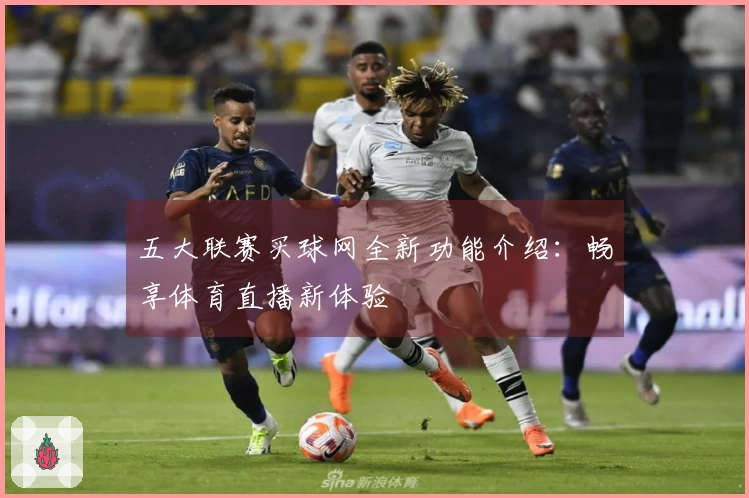 五大联赛买球网全新功能介绍：畅享体育直播新体验