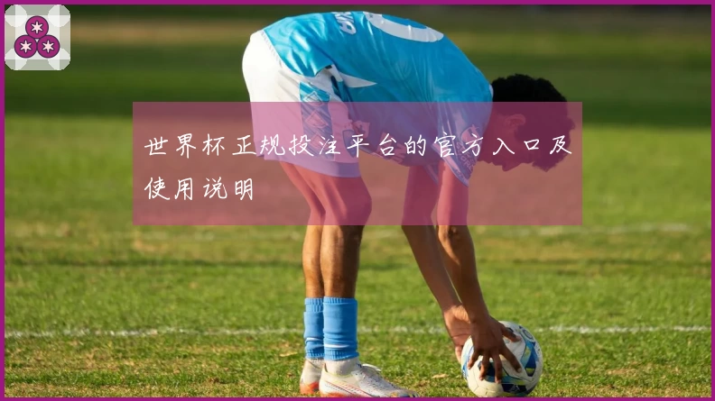 世界杯正规投注平台的官方入口及使用说明