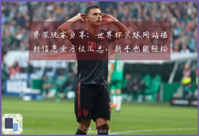 资深玩家分享：世界杯买球网站福利信息全方位汇总，新手也能轻松上手，畅享观赛乐趣